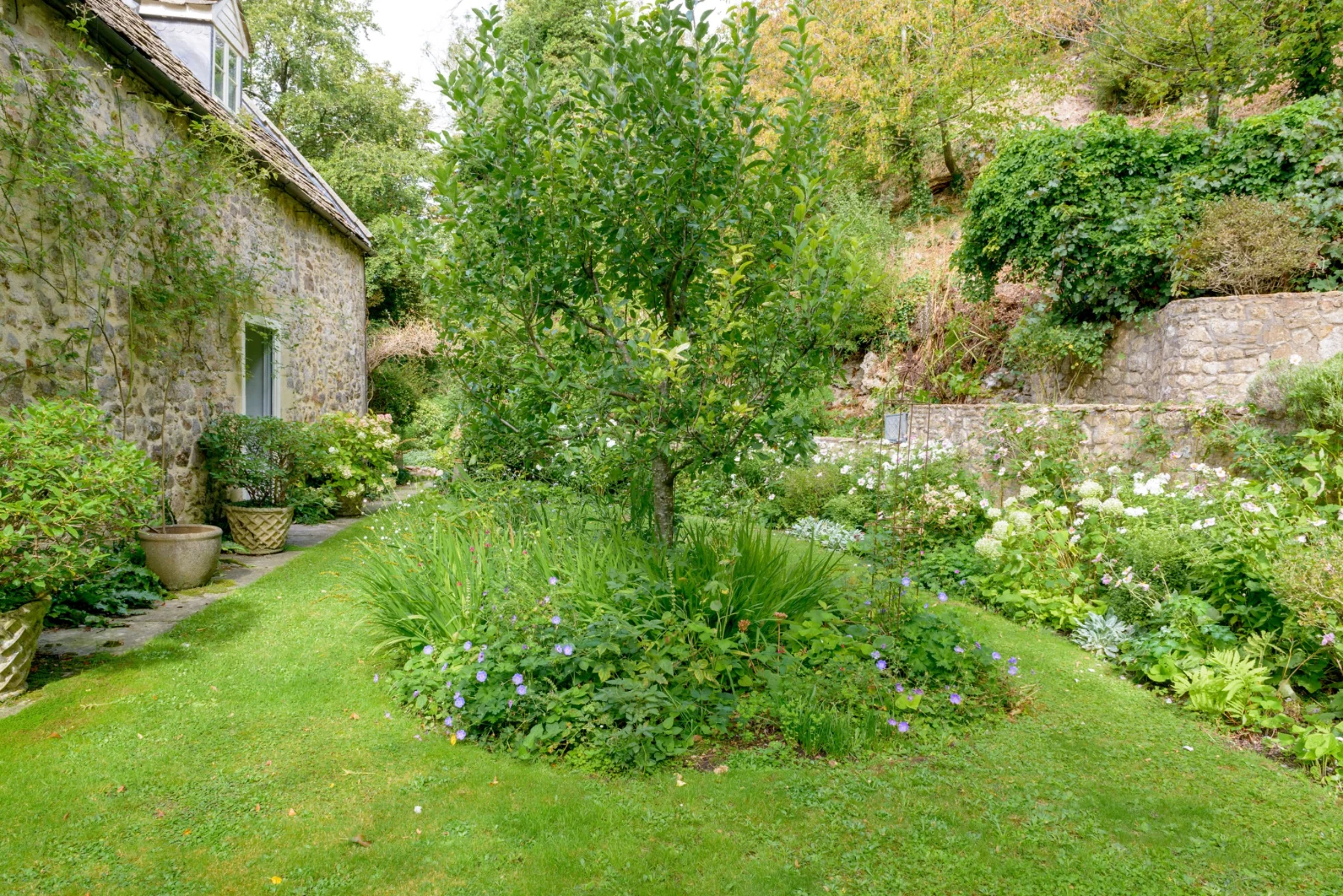 Flowers and greenery in the garden